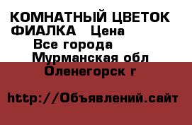 КОМНАТНЫЙ ЦВЕТОК -ФИАЛКА › Цена ­ 1 500 - Все города  »    . Мурманская обл.,Оленегорск г.